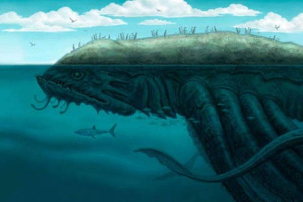Kraken13at