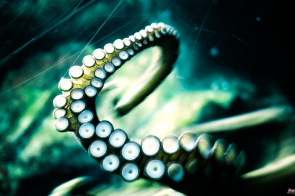 Кракен сайт kraken2