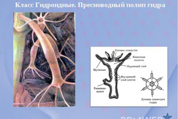 Кракен маркет даркнет speed up